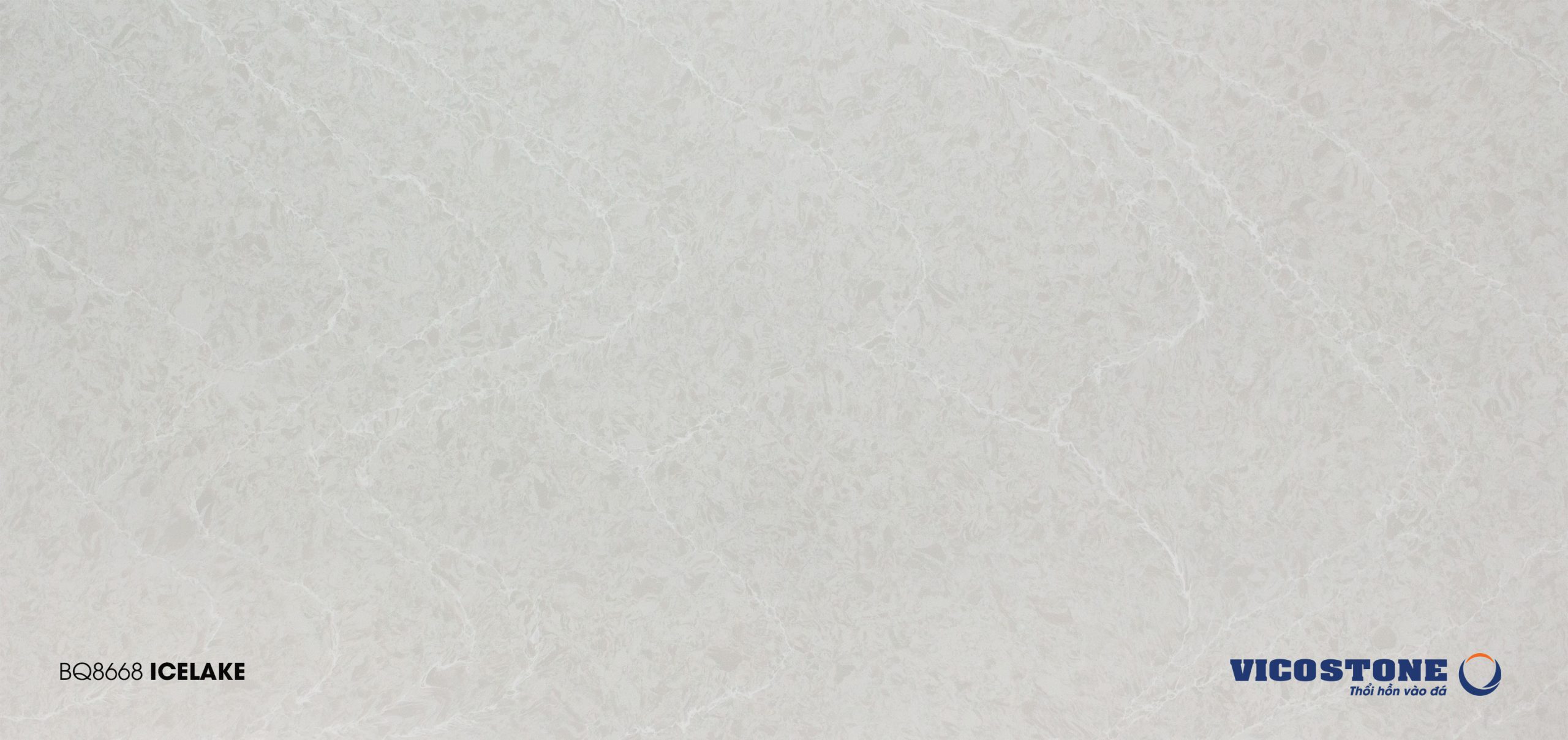 BQ8668 ICELAKE