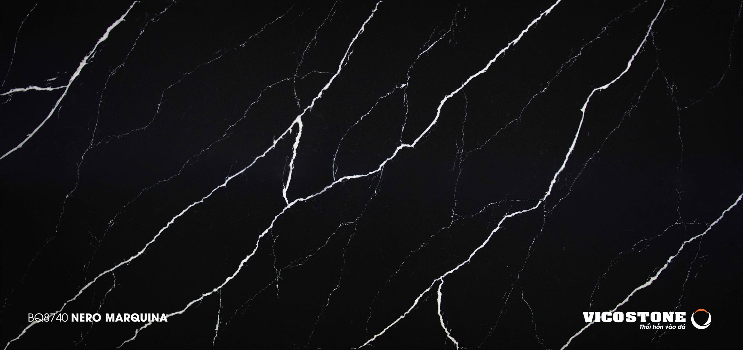 BQ8740 NERO MARQUINA